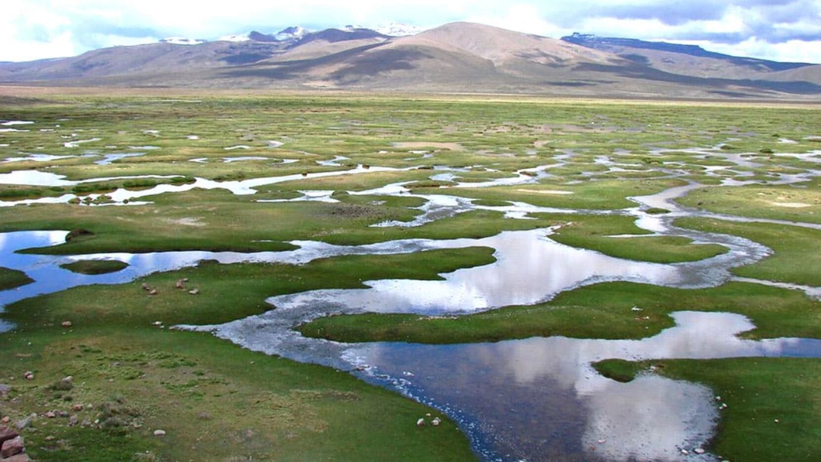 Salinas y aguada blanca Arequipa